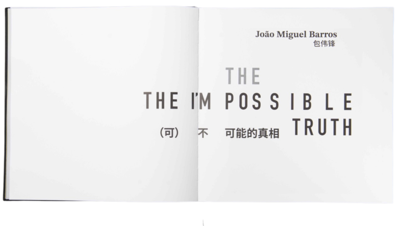 The Impossible Truth by João Miguel Barros | Chinese Performance Art