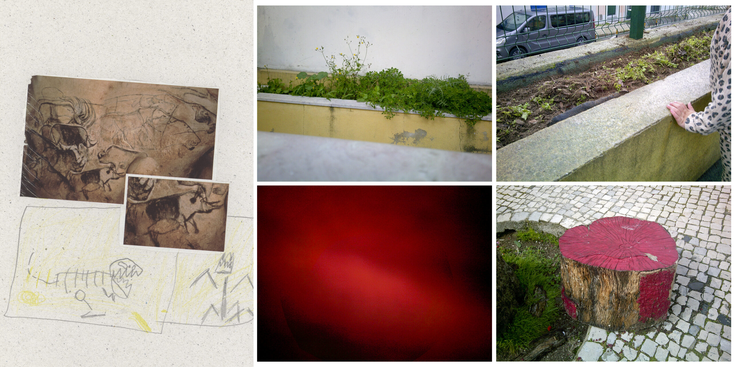 Painel_5
