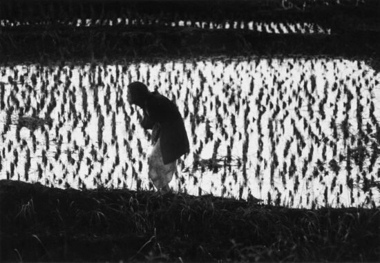 Hosoe Eikoh returns to OCHRE SPACE with Kamaitachi