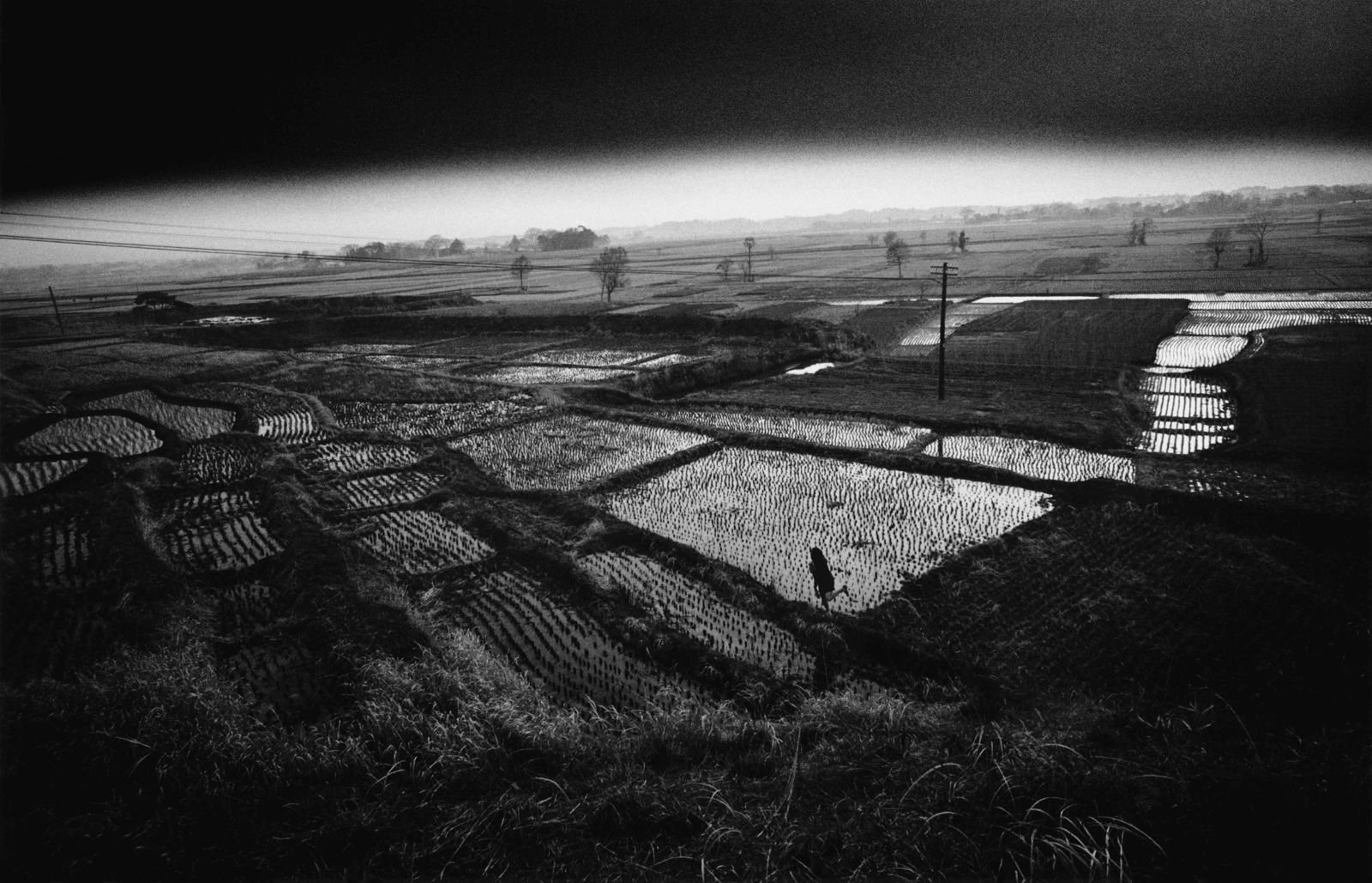Hosoe Eikoh returns to OCHRE SPACE with Kamaitachi OCHRE SPACE presents Kamaitachi by Hosoe Eikoh, bringing together thirteen photographs from one of the most important collaborations between the photographer and Hijikata Tatsumi, a founding figure of ankoku butoh.