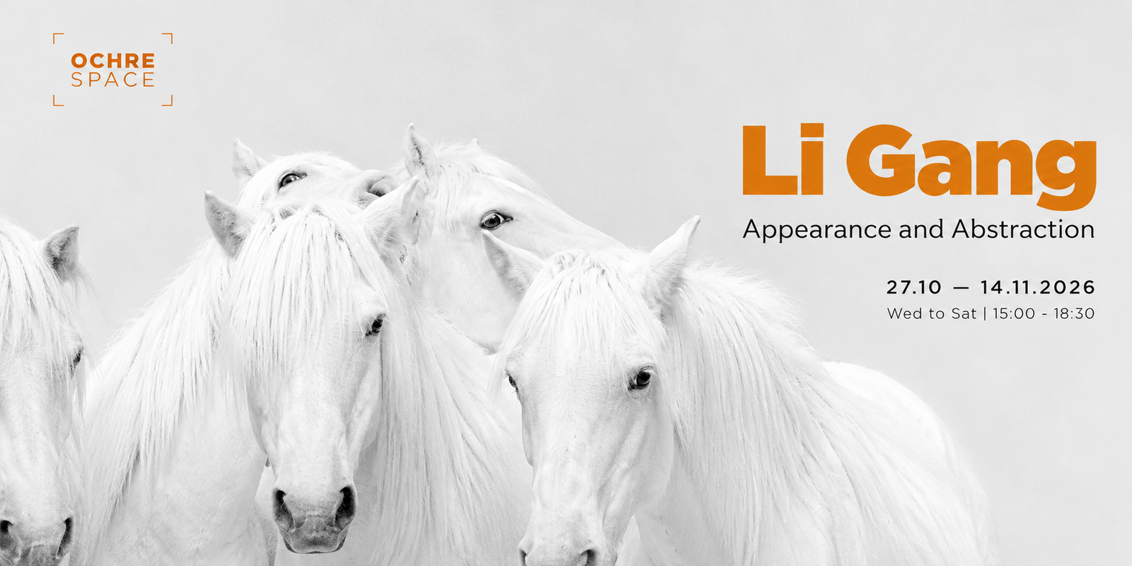 LI GANG APPEARANCE AND ABSTRACTION LI GANG APPEARANCE AND ABSTRACTION